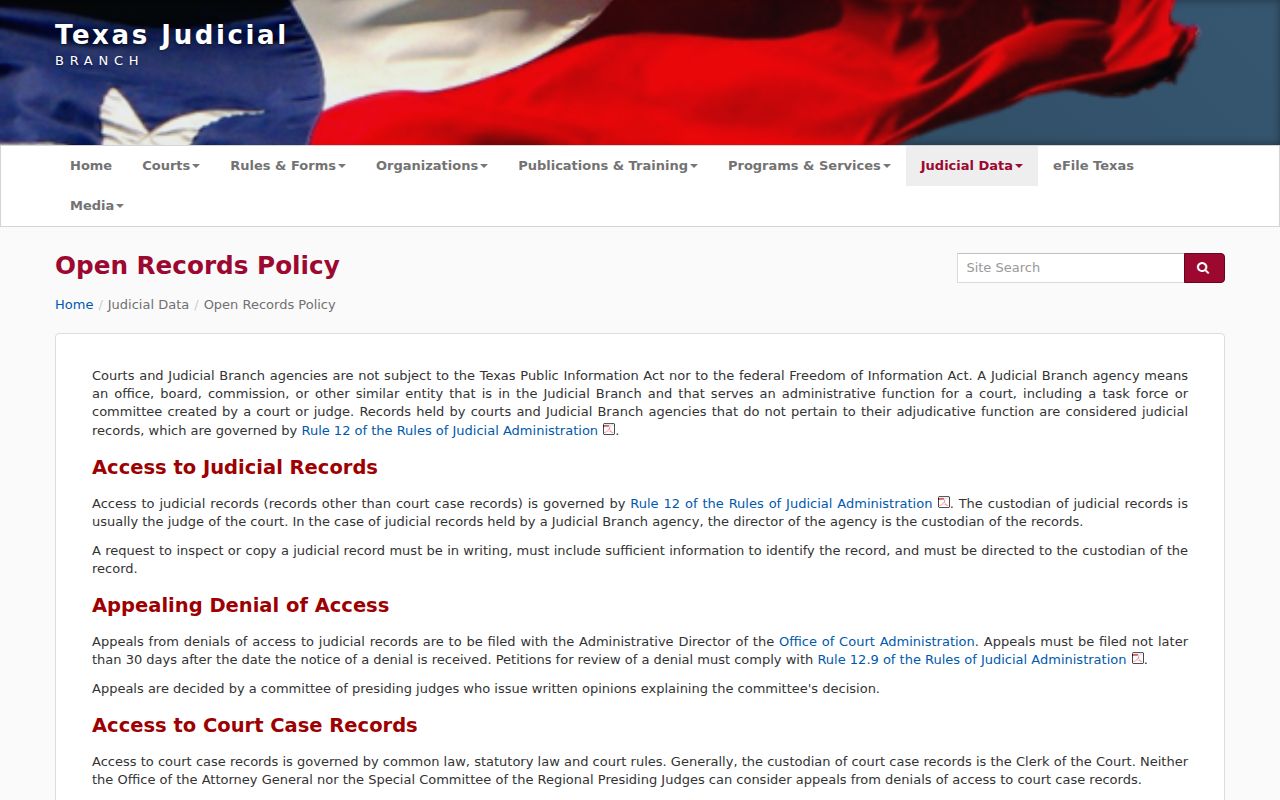 Texas judicial open-records policy distinguishing Rule 12 records from court case files